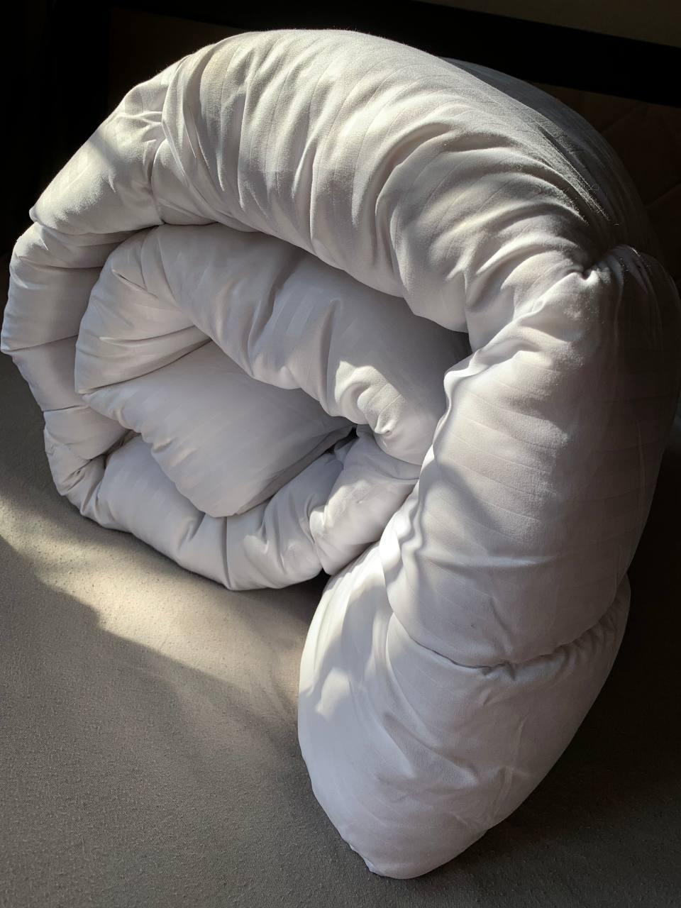 Одеяло демисезонное ЭкоПух евро 200х210 см