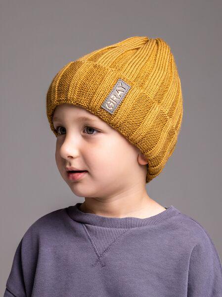 Шапка детская для мальчиков Грей D826 флис 46-50 см Терракотовый