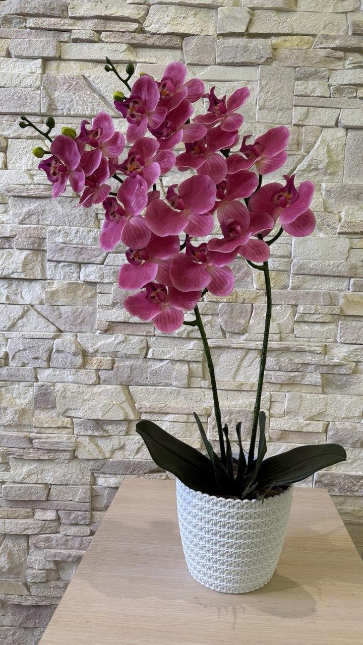 Вазон орхидея ПЛАСТМАКС латексная на две ветки Розовый (O24) - фото 2