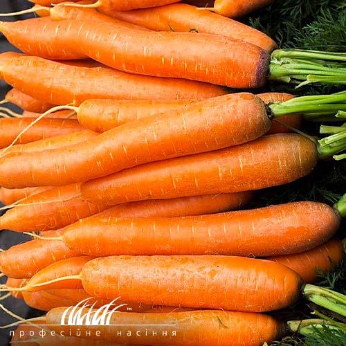 Семена Морква Florium Без серцевини (11799)