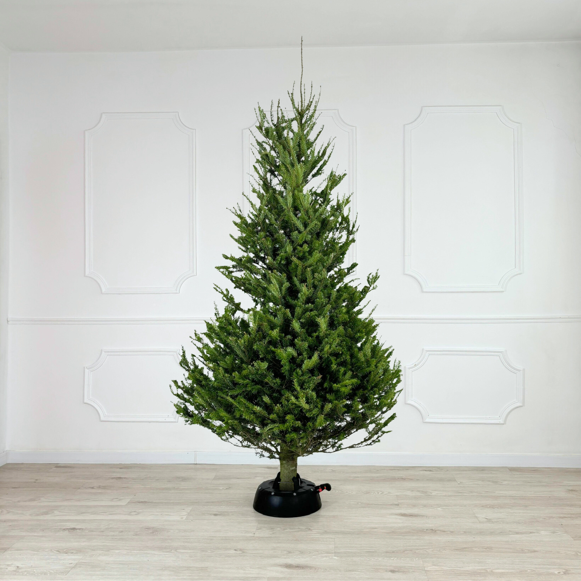 Подставка под елку Kamai START 2 до 2 м Антрацит (1594300000017) - фото 9 Подставка под елку Kamai START 2 до 2 м Антрацит (1594300000017) - фото 9