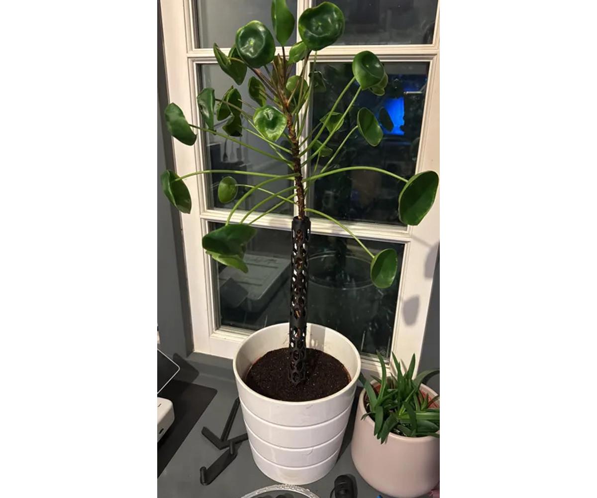 Опора для растений Коричневый (701302d) - фото 3 Опора для растений Коричневый (701302d) - фото 3