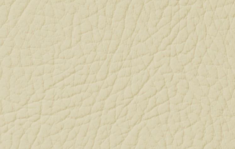 Эмаль для окрашивания кожи Leather Expert Colourant 100 г 108 Sand Cream Эмаль для окрашивания кожи Leather Expert Colourant 100 г 108 Sand Cream
