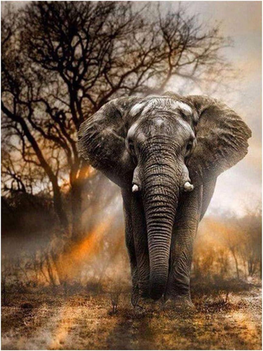 Алмазна картина Strateg Могутній слон HX205 30x40 см (MTT-133108)