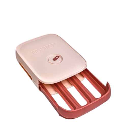 Контейнер-органайзер Stenson для яиц 29x21x8 см (609977)