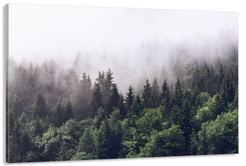 Картина на холсте в гостиную/спальню Природа Лес 80х160 см (MLP_381)