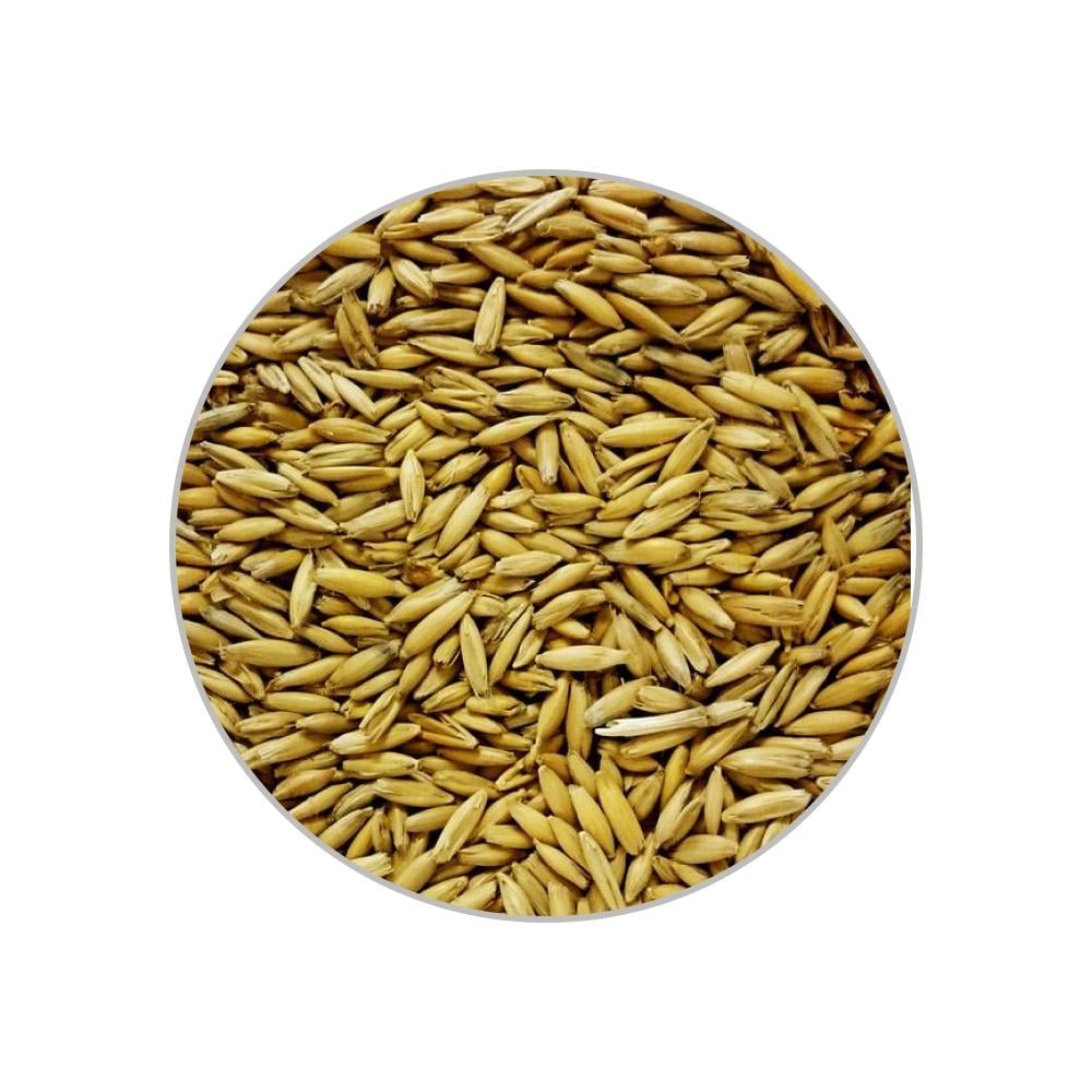 Солод Castle Malting Шато Оут Оat 1 кг