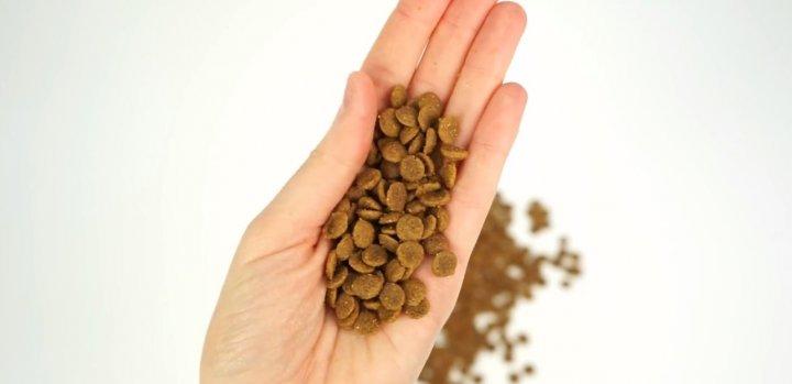 Корм сухий для цуценят під час вагітності та від'єму Lenda Starter&Pregnant 6 кг (L1021) - фото 2 Корм сухий для цуценят під час вагітності та від'єму Lenda Starter&Pregnant 6 кг (L1021) - фото 2