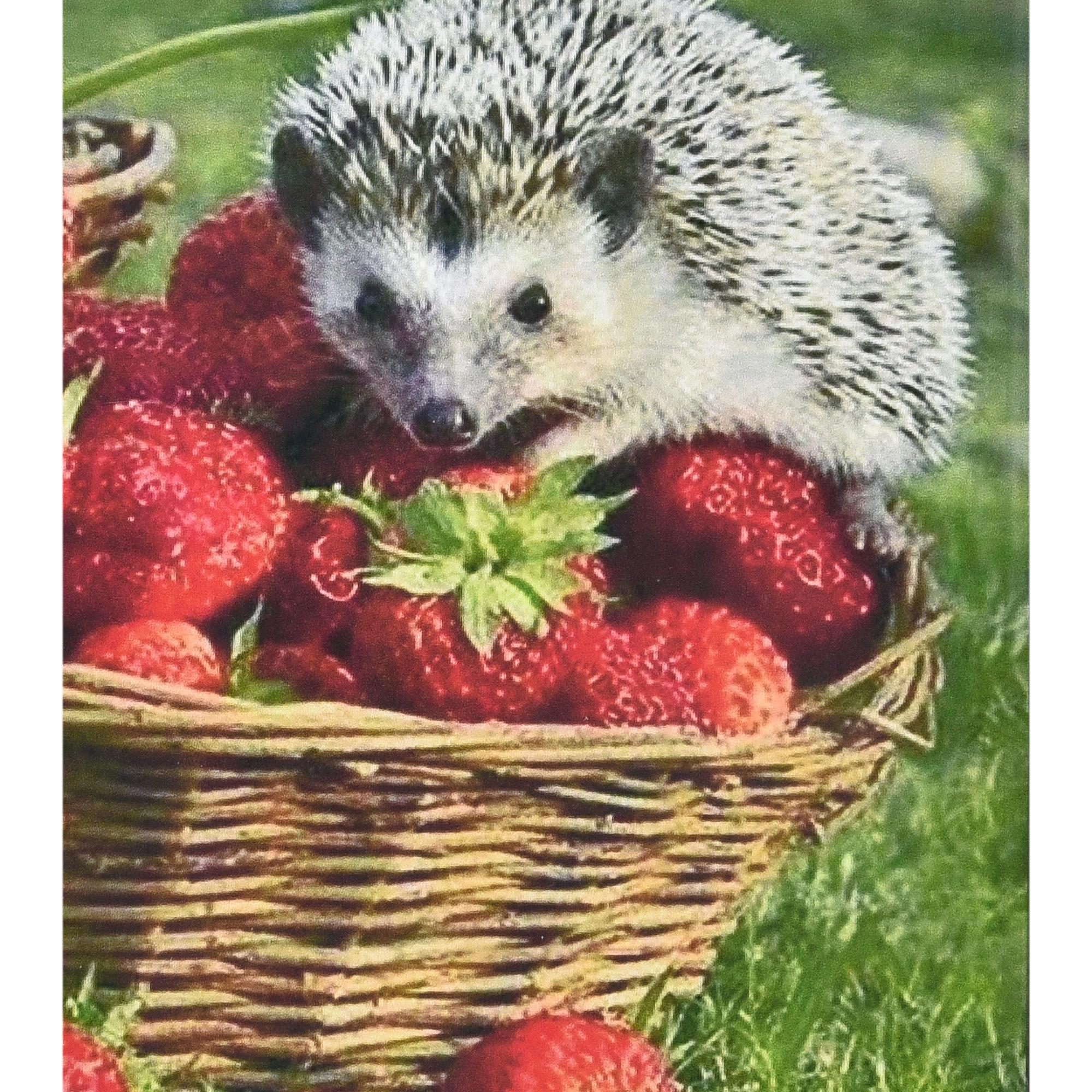 Набір для творчості алмазна картина Strateg Їжачок та полуниця HEG86093 30x40 см (MTT-192915) Набір для творчості алмазна картина Strateg Їжачок та полуниця HEG86093 30x40 см (MTT-192915)