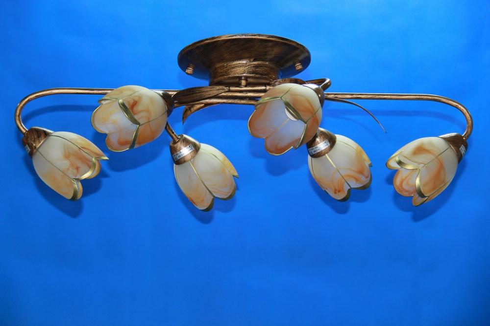 Люстра с плафонами Ray L90229B/6 (IR006022)