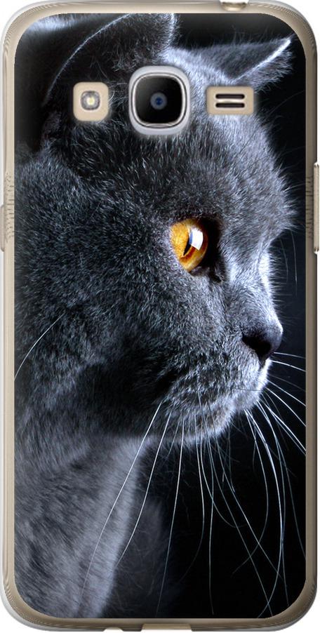 Чехол на Samsung Galaxy J2 (2016) J210 Красивый кот (3038u-270-42517)