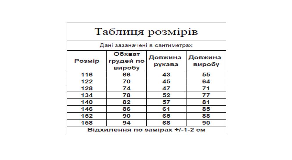 Сукня-вишиванка дитяча Вишиваночка р. 158 Сірий (8205-7) - фото 6 Сукня-вишиванка дитяча Вишиваночка р. 158 Сірий (8205-7) - фото 6
