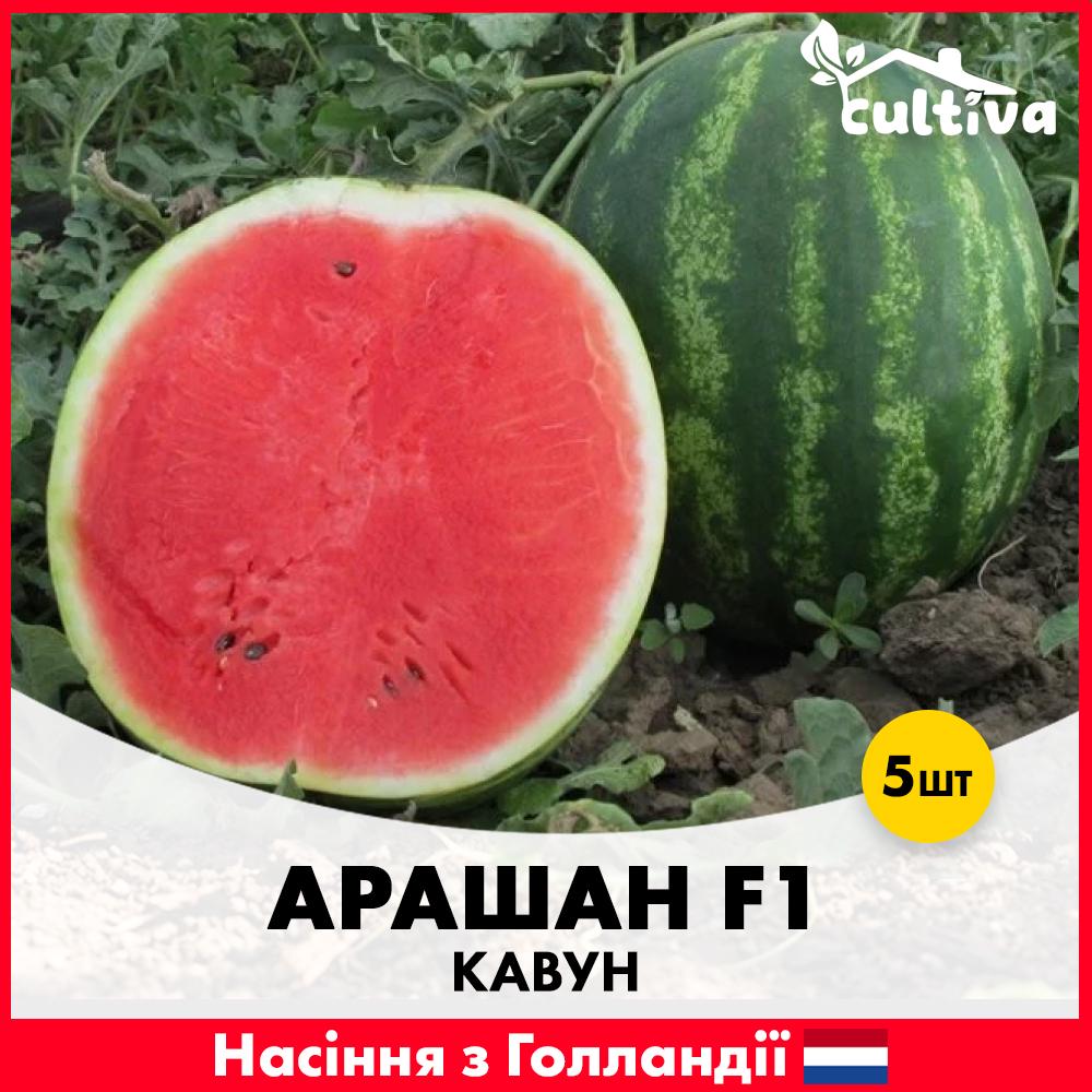 Семена арбуза Syngenta Арашан F1 5 шт. (R51198)