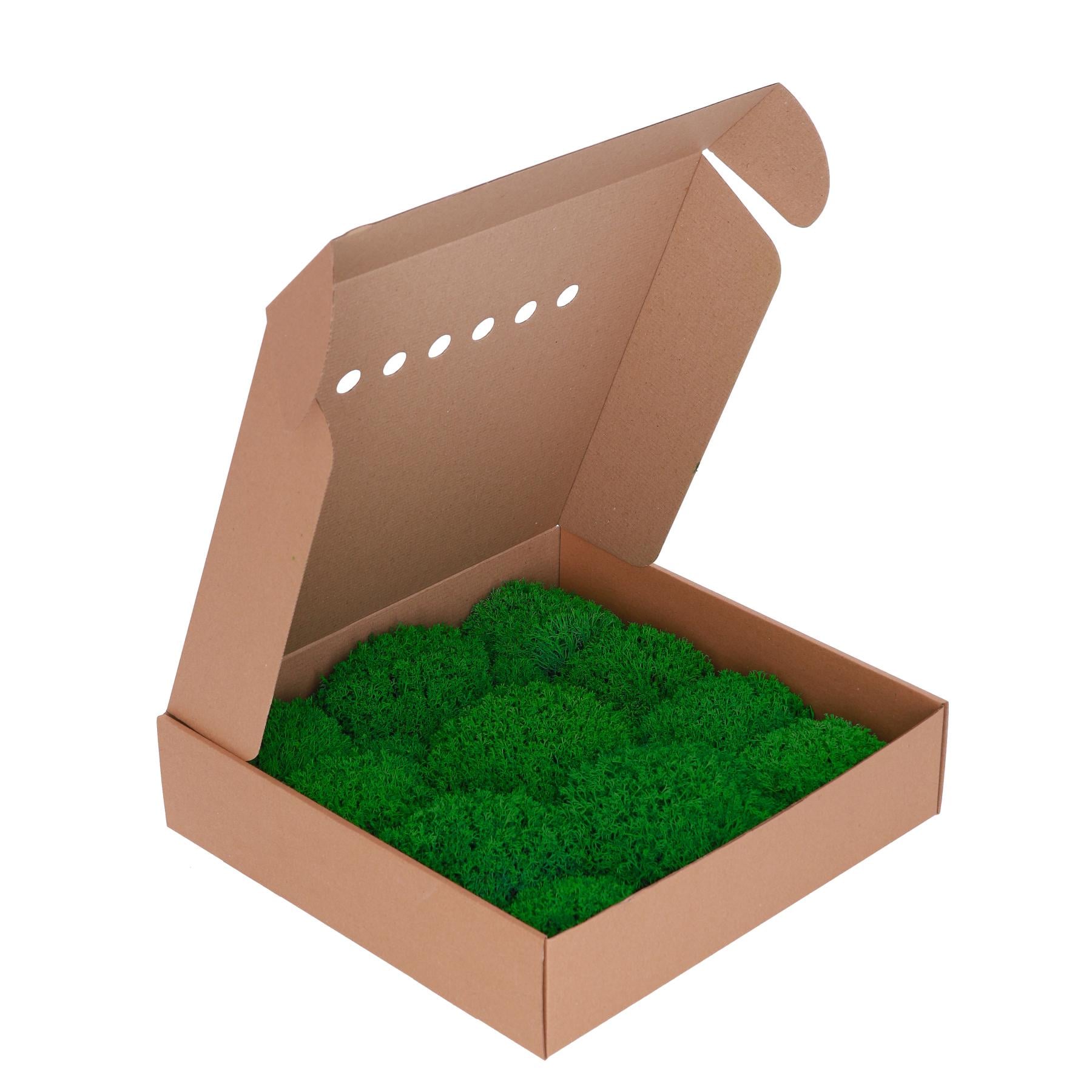 Стабилизированный мох Organic Design Королевский ягель 0,15 м2 Nature Green (502-10)