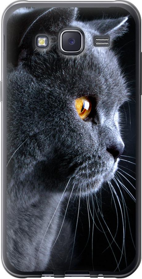 Чехол на Samsung Galaxy J5 (2015) J500H Красивый кот (3038u-100-42517)