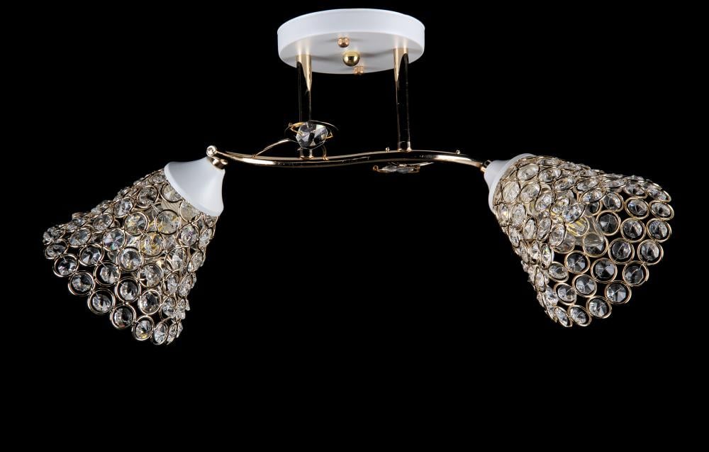 Люстра с плафонами Ray L2283/2 FG+WT (IR005929)