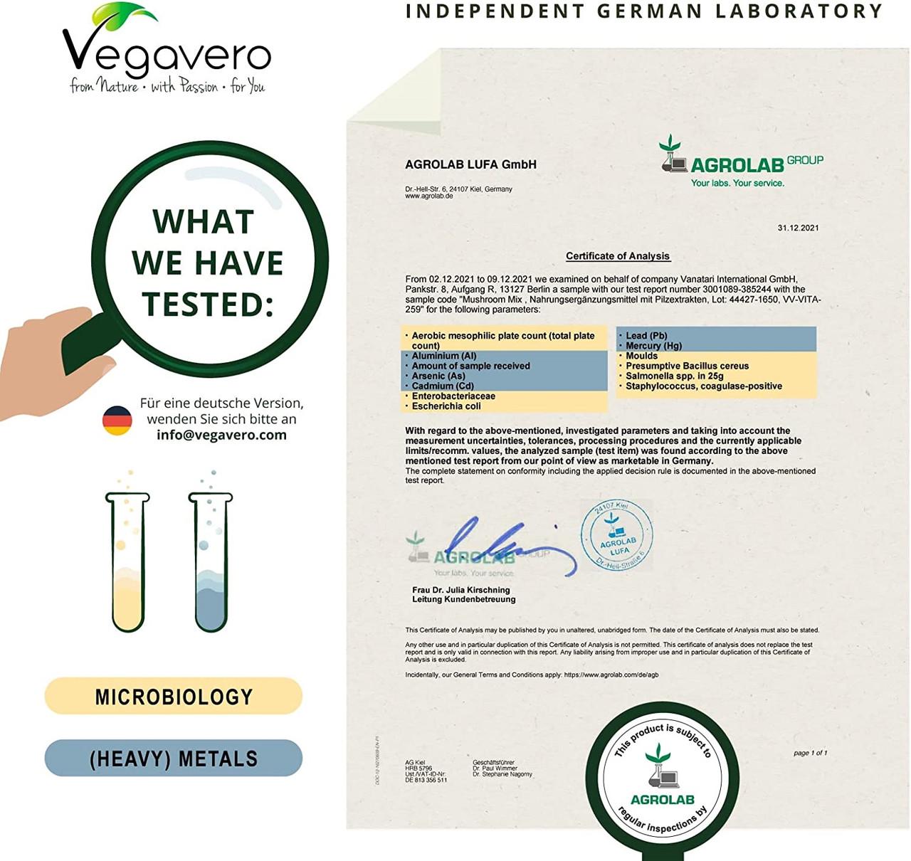 Витамины для иммунитета Vegavero Грибной комплекс 120 капс. (50094961v) - фото 4