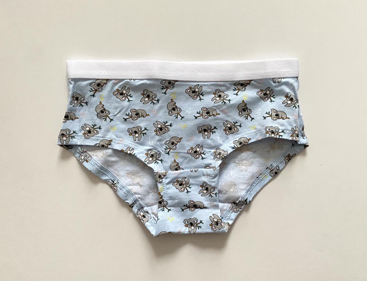 Труси-плавки на дівчинку з принтом ведмедик Primark 128 см на 7-8 років Блакитний (2619518679)