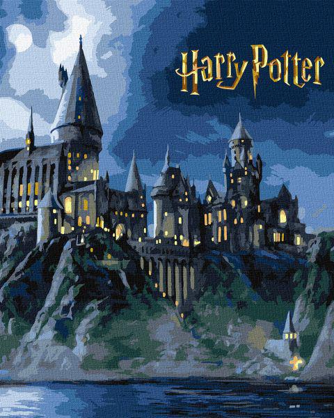 Картина по номерам Ideyka Harry Potter Хогвартс ночью с красками металлик extra 40х50 см (Id-KHO5230)