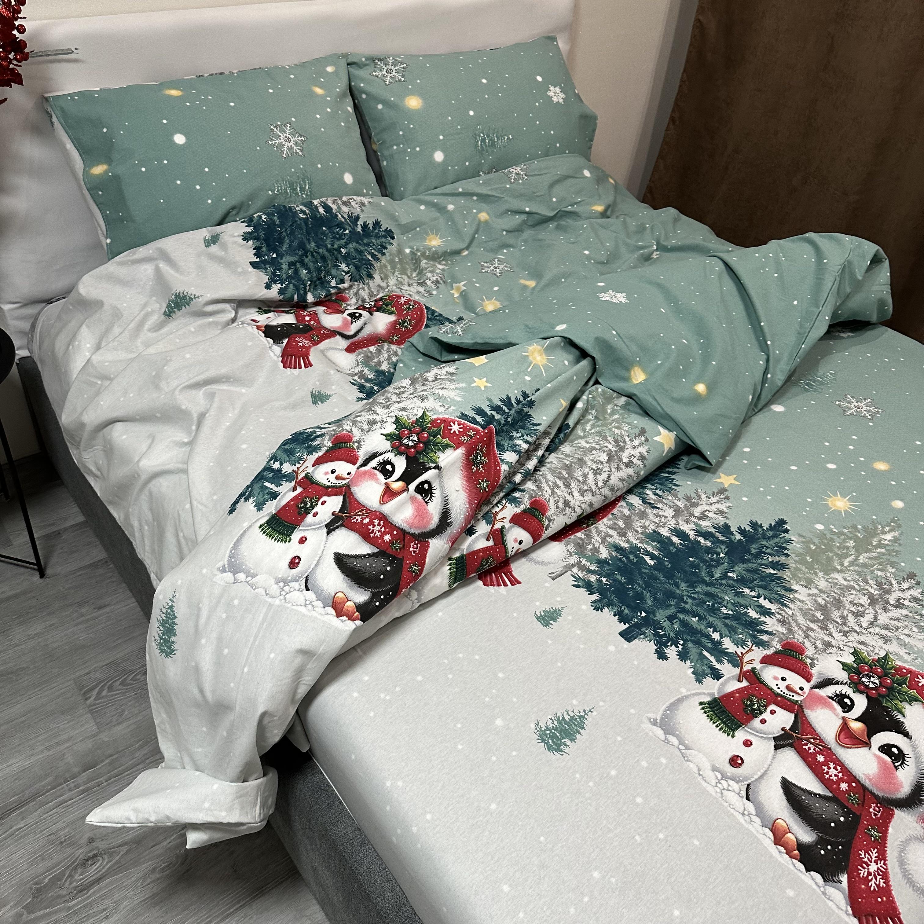 Комплект постільної білизни байкова Зимовий євро Бірюзовий (байка 10-3) - фото 7 Комплект постільної білизни байкова Зимовий євро Бірюзовий (байка 10-3) - фото 7