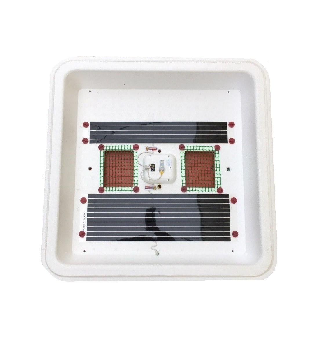 Брудер Рябушка для птенцов