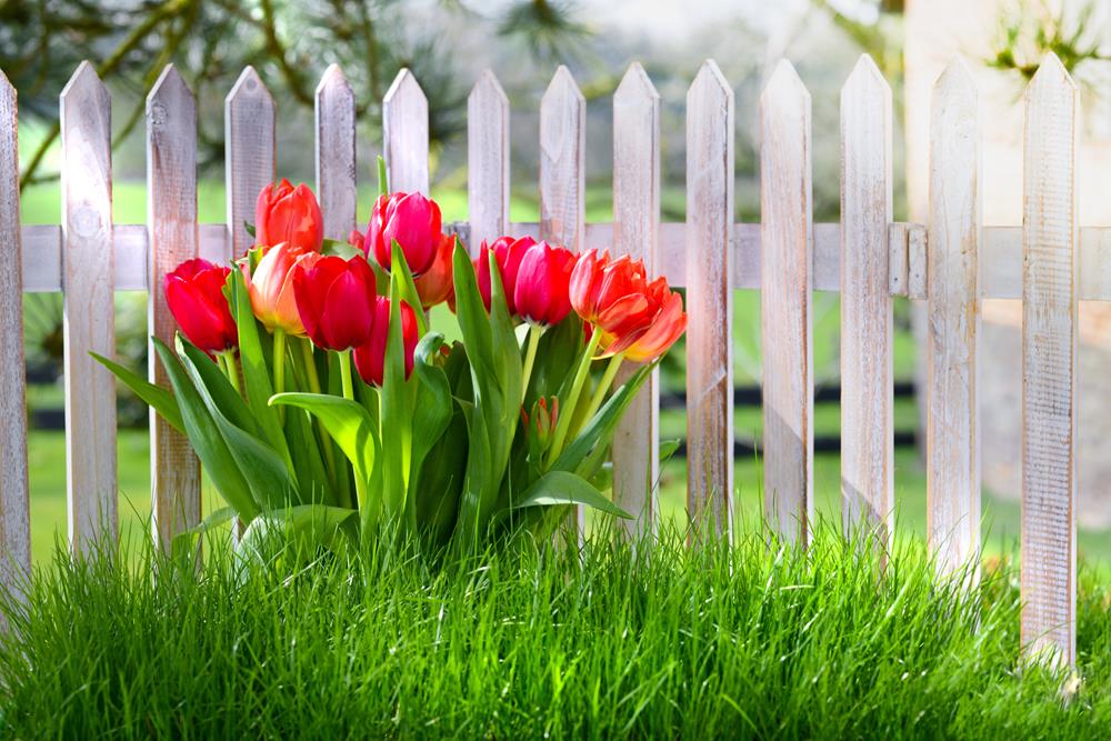 Картина Природа PR194 55х85 см