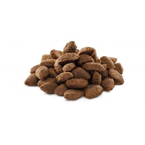 Корм сухой Brit Premium Dog Sport для собак с высокими энергозатратами с курицей 3 кг