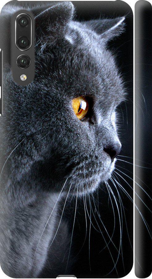 Чехол на Huawei P20 Pro Красивый кот (3038m-1470-42517) Чехол на Huawei P20 Pro Красивый кот (3038m-1470-42517)