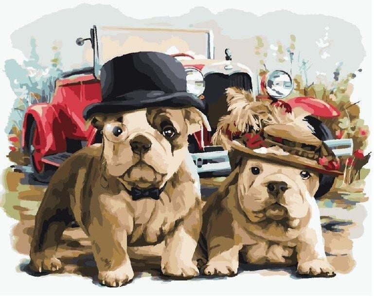 Картина по номерам Brushme GX23845 Сеньор и мадам Пес 40x50 см (1216393588)