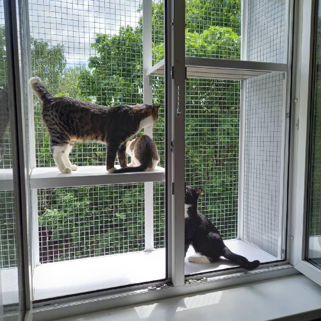 Балкон для котів з двома поверхами прямокутний підвісний 690х420х1250 см Білий (015) - фото 2