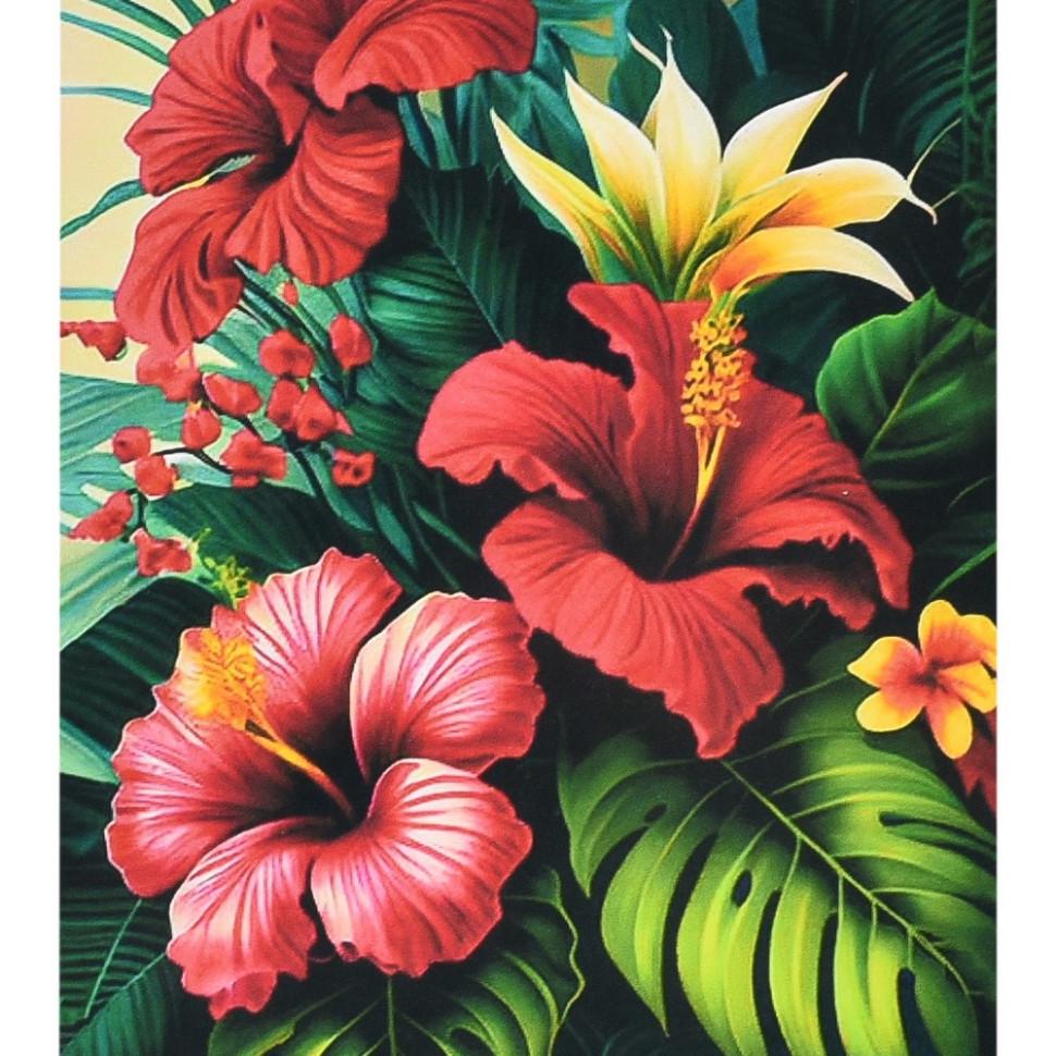 Алмазна мозаїка Strateg Тропічна гармонія SK88294 40х50 см (RLT55772)