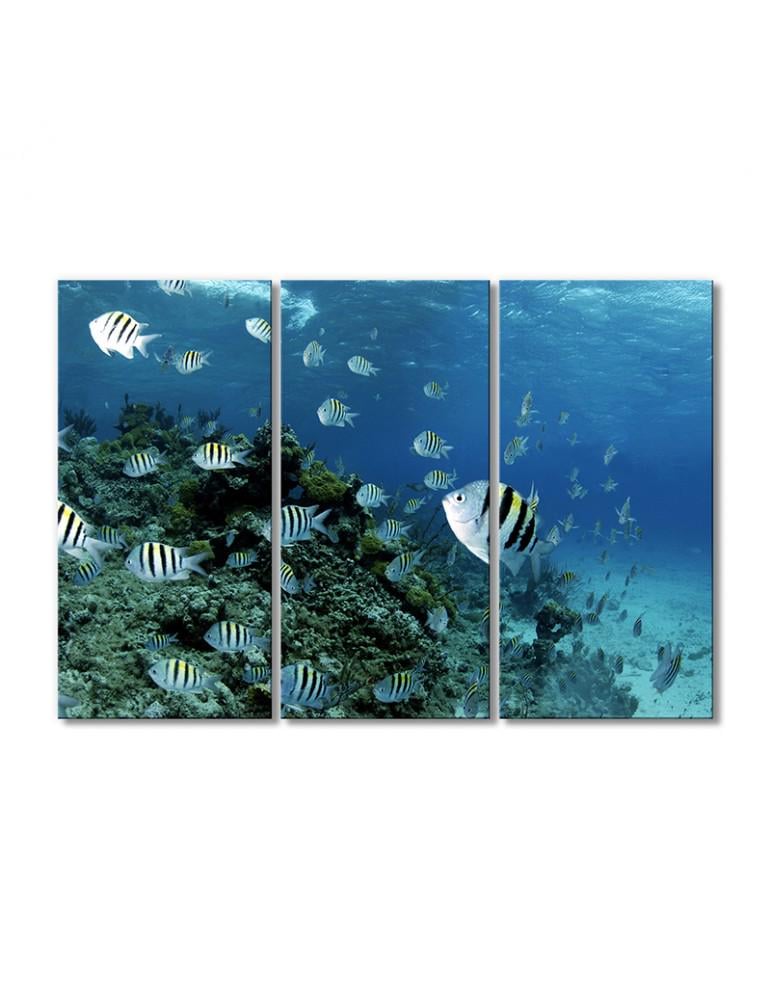 Картина модульная 3 модуля Рыбки зебра 90x135 см