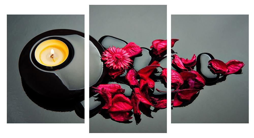 Модульна картина Декор Карпати 100х53 см (M3-t139)