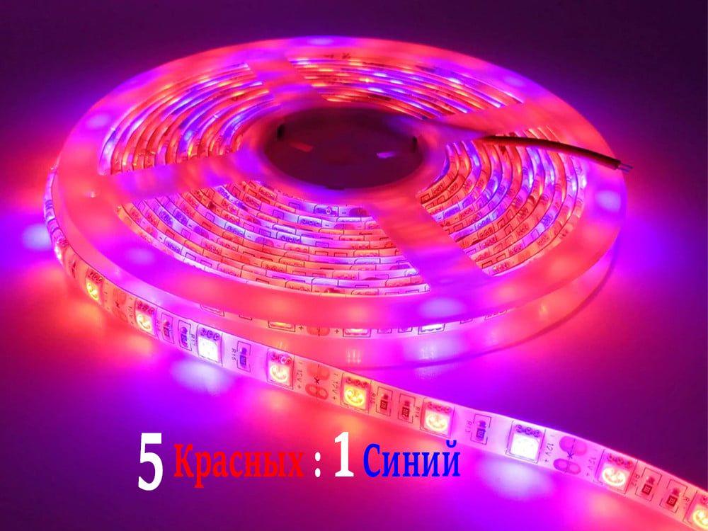 Светодиодная фитолента влагостойкая 5:1 IP67 5 м (13702457) - фото 2 Светодиодная фитолента влагостойкая 5:1 IP67 5 м (13702457) - фото 2