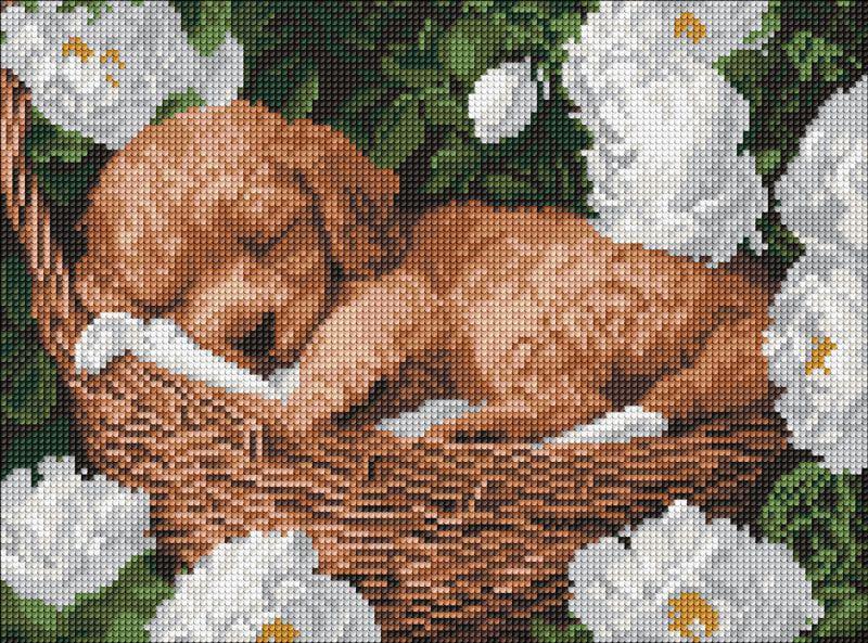 Алмазная мозаика Ideyka Спящий пудель 30x40 см (Id-AMO8170)