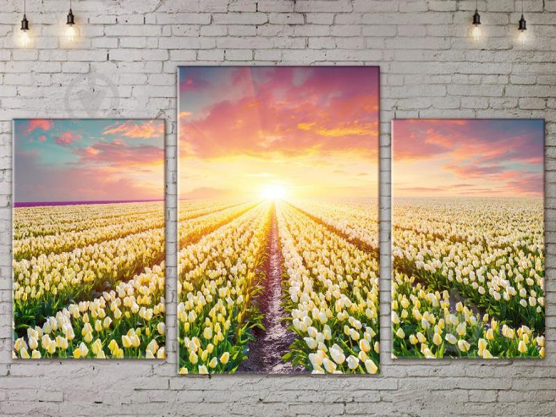 Модульная картина ArtStar ADNA0104 размер 70 х 105 см