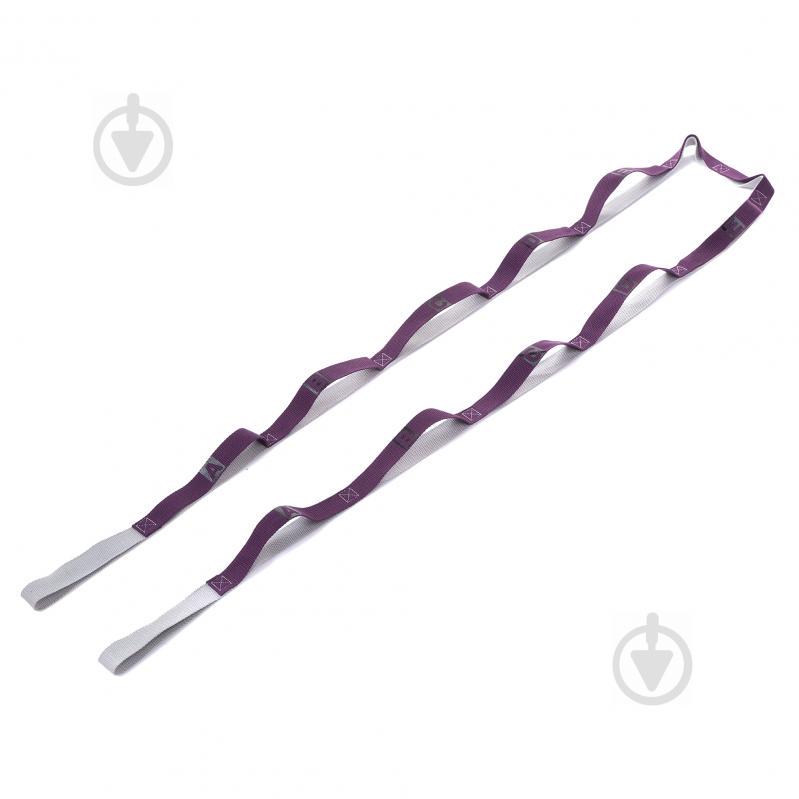 Лента для растяжки Record Stretch Strap FI-1723 Фиолетовый (FI-1723_Фиолетовый)