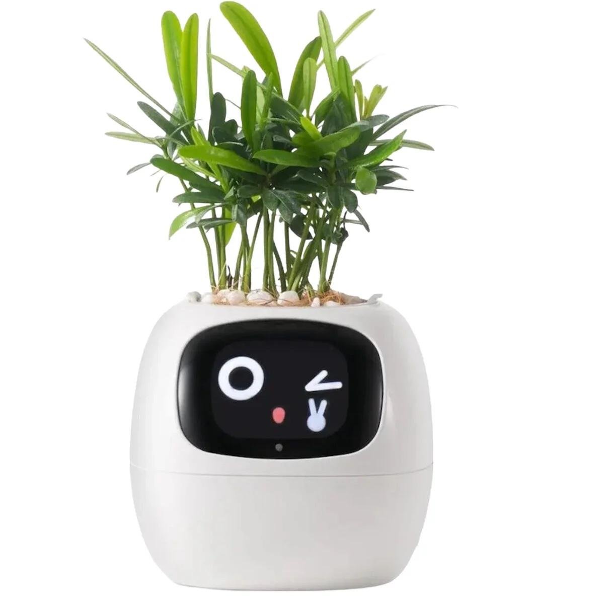 Горшок умный Tuya IVY SMART PLANTER Белый (26407449)