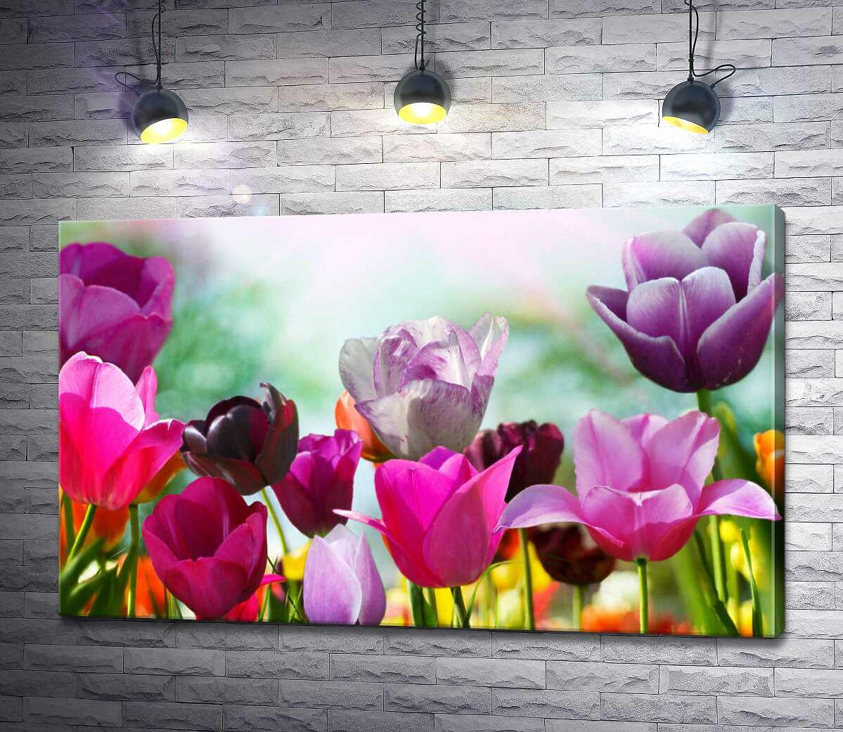 Картина ArtPoster Сочные краски хрупких тюльпанов 50x31 см Модуль №1 (000066)