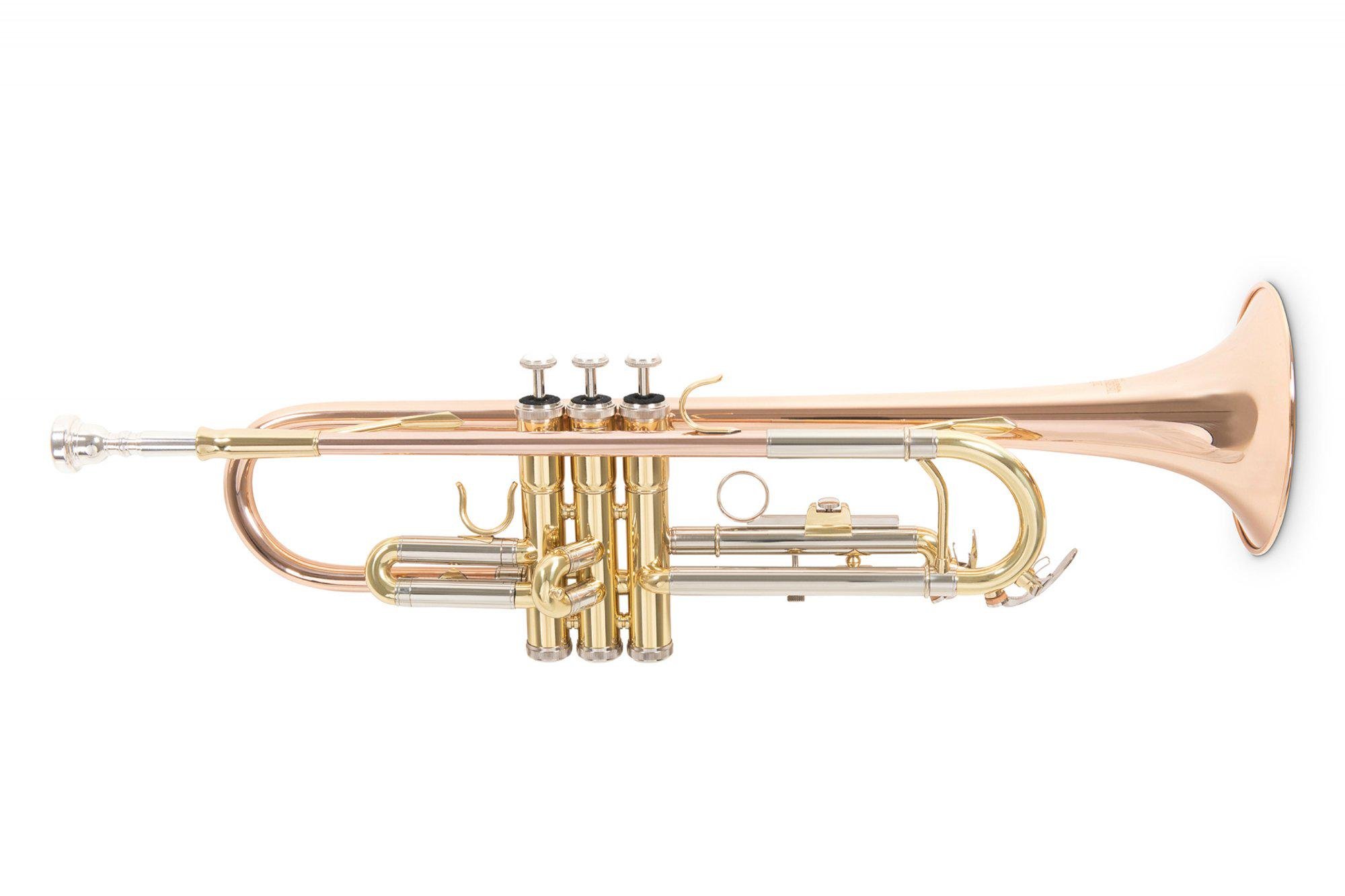 Труба Roy Benson TR-202G Bb-Trumpet латунь (G-RB701075)