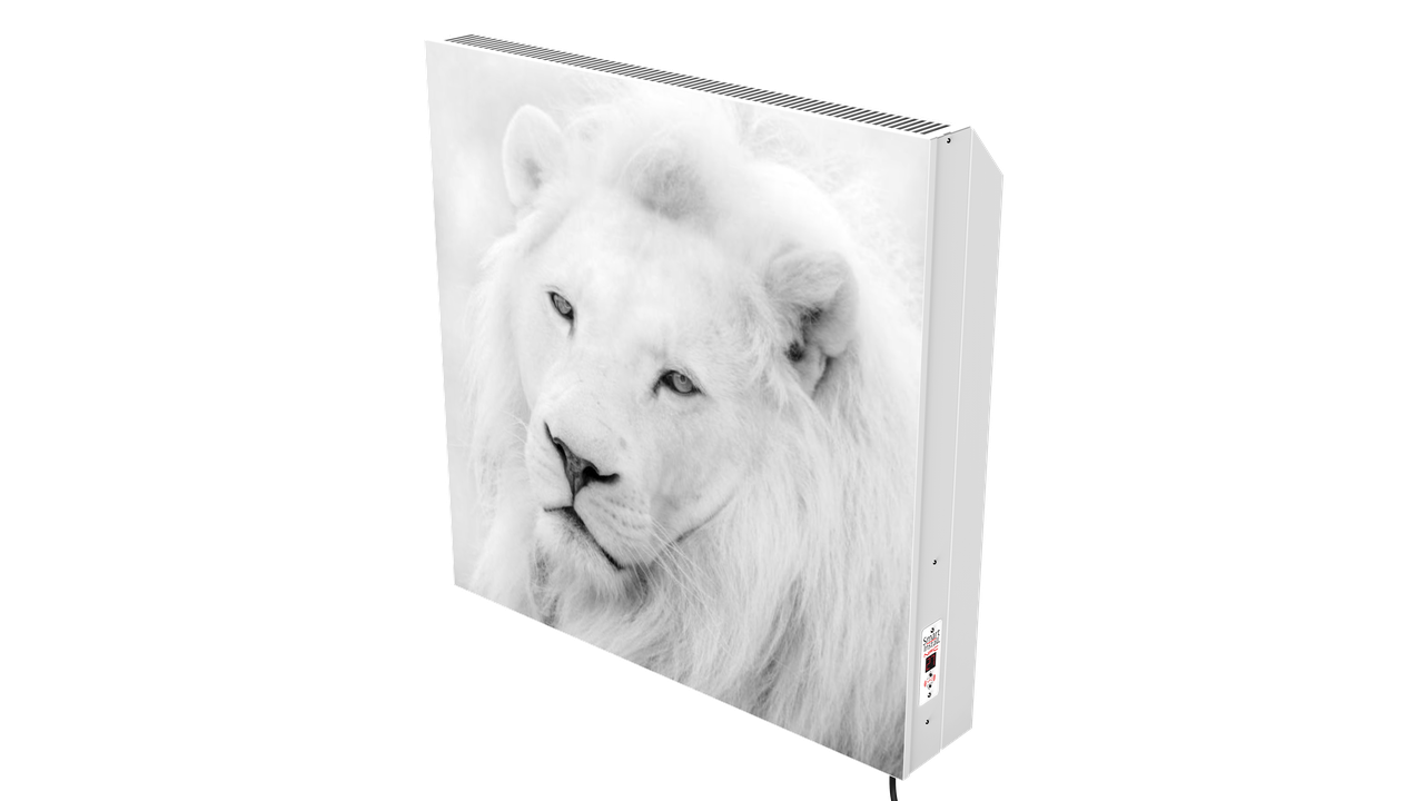 Обігрівач керамічний конвекційний Smart Install Model S 77 Малюнок NFC з терморегулятором метал 15 м2 (MODEL SP 77 M)