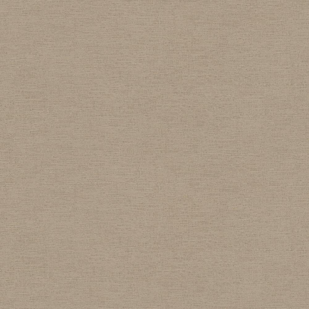 Обои виниловые на флизелиновой основе AS Creation Tempo (39590-2)