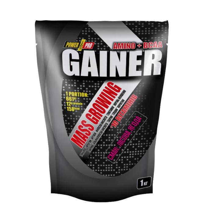 ᐉ Гейнер Power Pro Gainer Amino + BCAA Лесные ягоды 1 кг