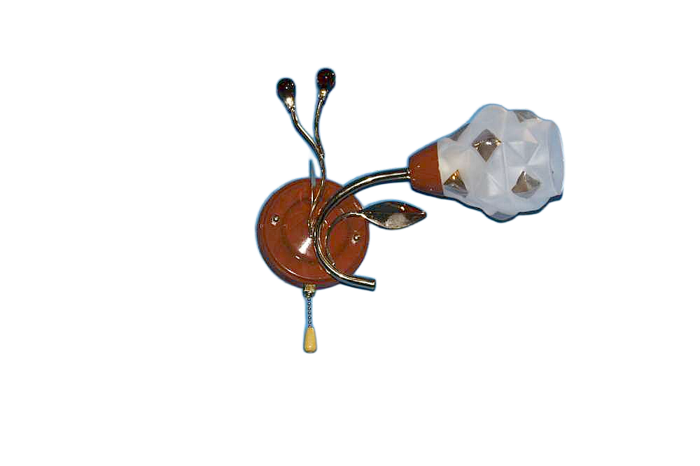 Бра с плафонами Ray B81240/1 FGD (IR005050)
