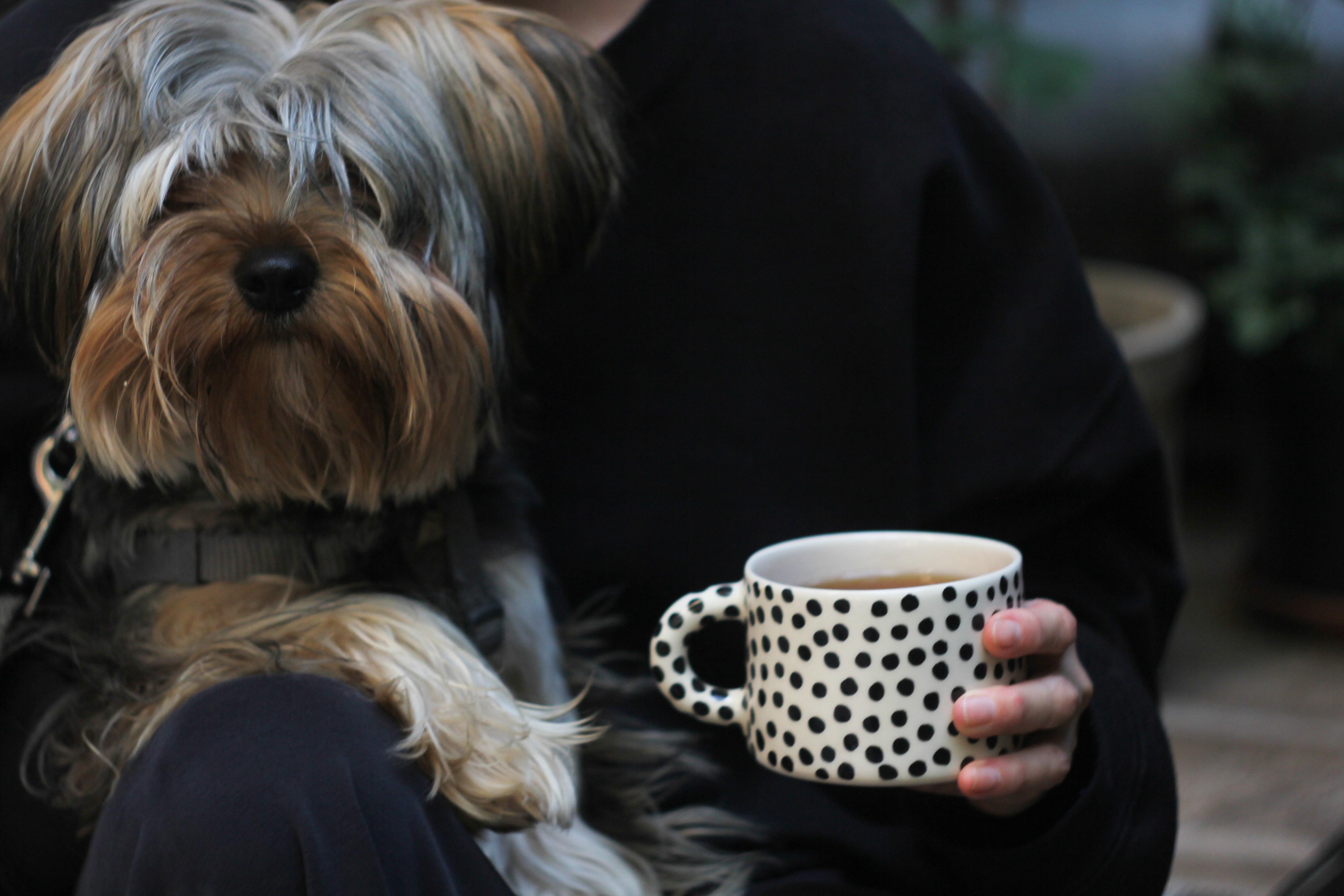 Чашка керамічна в чорний горох ручна робота напівпорцеляна 350 мл (PRS-CUP-IMG-350-I-DOTS) - фото 6 Чашка керамічна в чорний горох ручна робота напівпорцеляна 350 мл (PRS-CUP-IMG-350-I-DOTS) - фото 6