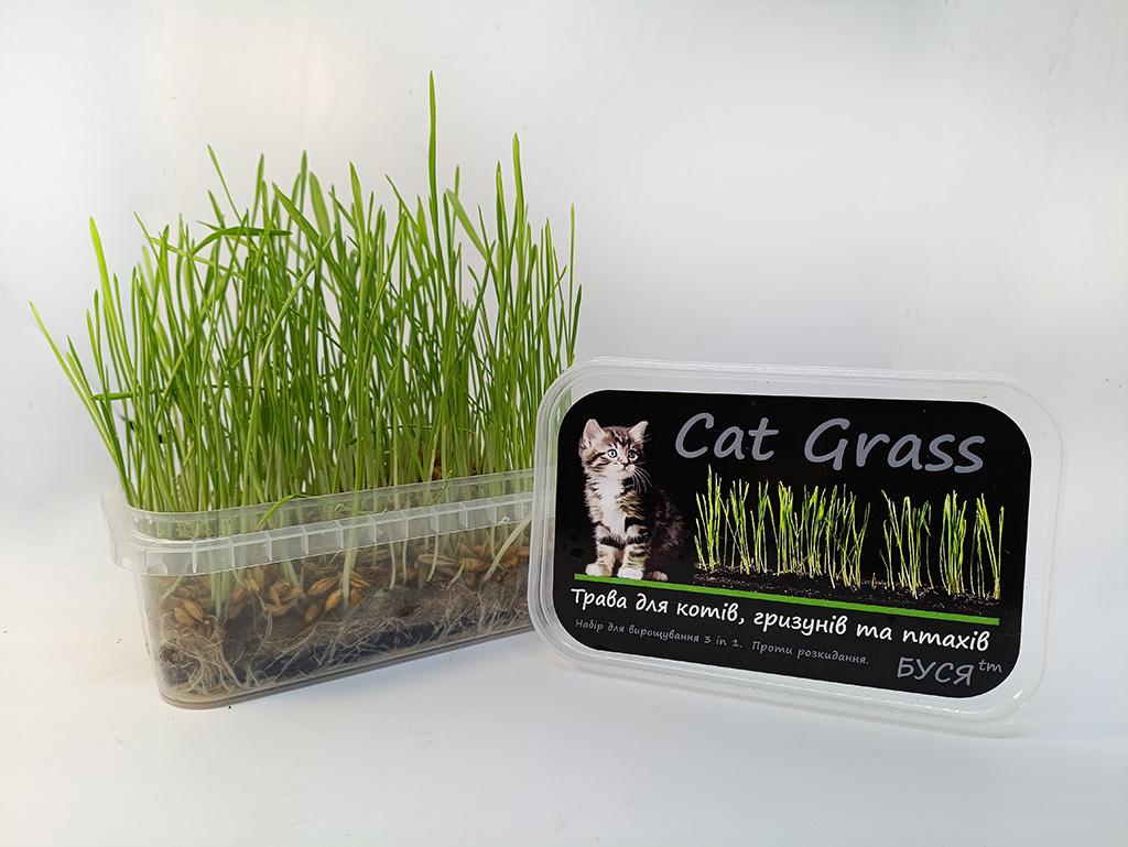 Трава для котів гризунів та птахів Cat Grass Буся