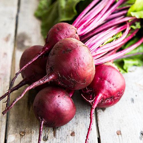 Семена Свекла Florium Акела F1 (8557)