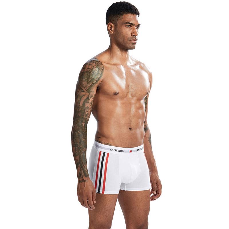 Комплект мужских трусов Lanvibum M 5 шт. Разноцветный (7321)