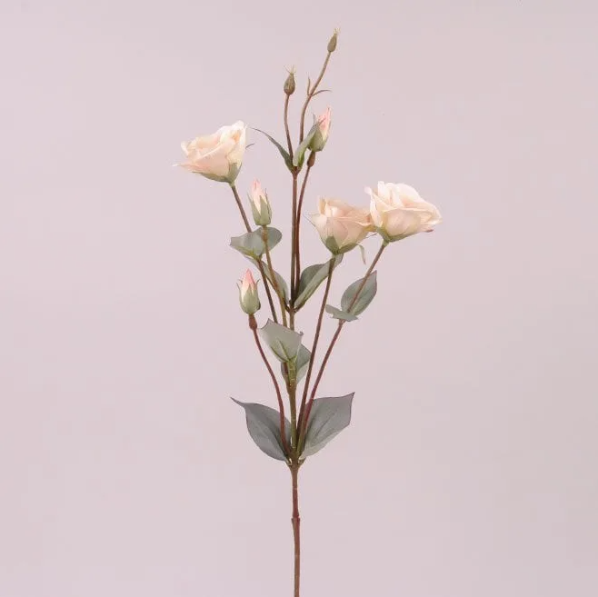 Квітка Еустома Flora Персиковий (73048)