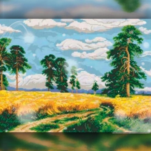 Алмазная вышивка The Wortex Diamonds Поле 30x40 см TWD30030
